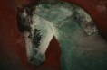 /album/fotogaleria-galeria/caballo-manchado-jpg1/